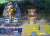 Case 44 Tutankhamun Th