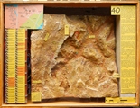 Case_40 Valley of the Kings model