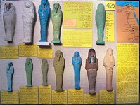 Case 43 Ushabtis Th