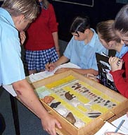 Case 38 - Stone Age Tools & Art